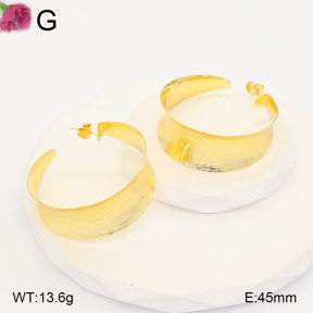 F2E202260vbll-J165  Fashion Earrings