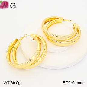 F2E202261bbml-J165  Fashion Earrings
