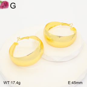 F2E202263vbll-J165  Fashion Earrings
