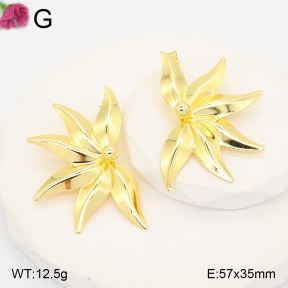 F2E202275vbll-J165  Fashion Earrings