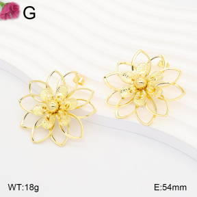 F2E202311vbll-J165  Fashion Earrings