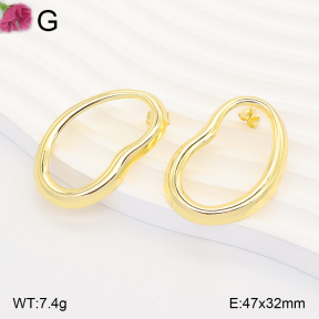 F2E202317vbll-J165  Fashion Earrings