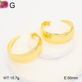 F2E202319vbll-J165  Fashion Earrings