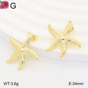 F2E202364ablb-J165  Fashion Earrings