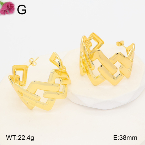 F2E202373bblo-J165  Fashion Earrings
