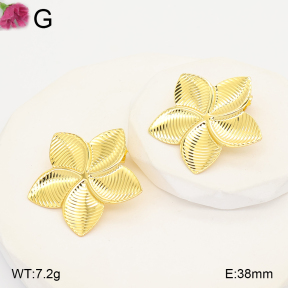F2E202376ablb-J165  Fashion Earrings