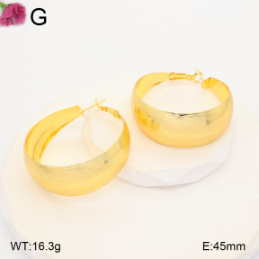 F2E202381vbll-J165  Fashion Earrings