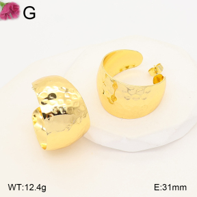 F2E202382vbll-J165  Fashion Earrings