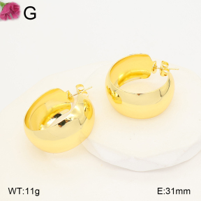 F2E202384vbll-J165  Fashion Earrings