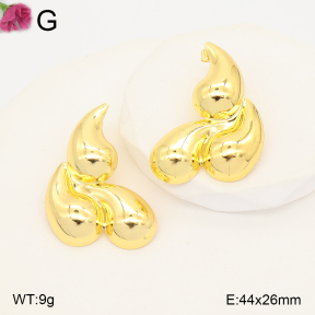 F2E202400vbll-J165  Fashion Earrings