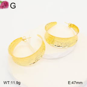 F2E202401vbll-J165  Fashion Earrings