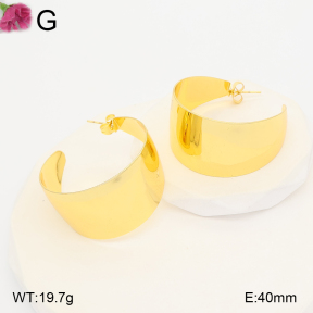 F2E202411vbll-J165  Fashion Earrings