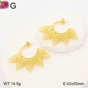 F2E202417bblo-J165  Fashion Earrings