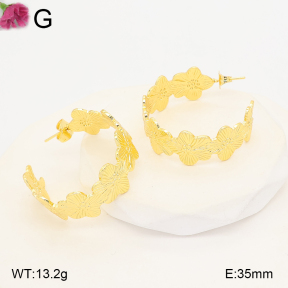 F2E202470vbll-J165  Fashion Earrings