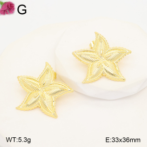 F2E202471vbll-J165  Fashion Earrings
