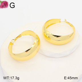F2E202472vbll-J165  Fashion Earrings