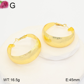 F2E202473vbll-J165  Fashion Earrings