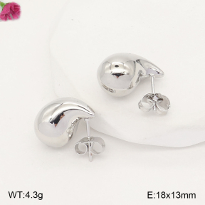 F2E202476aakl-J165  Fashion Earrings
