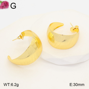 F2E202500vbll-J165  Fashion Earrings