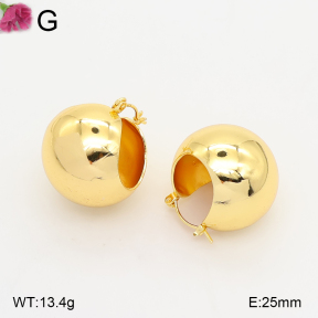 F2E202515vbll-J165  Fashion Earrings