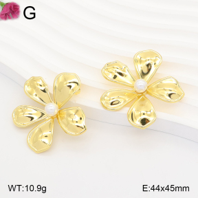 F2E301347vbll-J165  Fashion Earrings