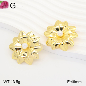 F2E301348vbll-J165  Fashion Earrings