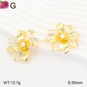 F2E301349vbll-J165  Fashion Earrings