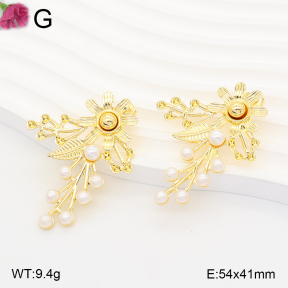 F2E301351vbll-J165  Fashion Earrings