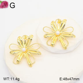 F2E301352vbll-J165  Fashion Earrings