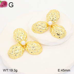 F2E301353vbll-J165  Fashion Earrings