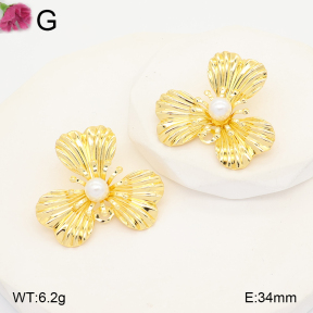 F2E301354ablb-J165  Fashion Earrings