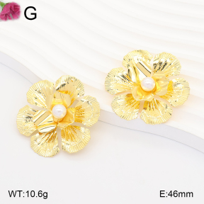 F2E301356vbll-J165  Fashion Earrings