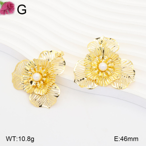 F2E301357vbll-J165  Fashion Earrings