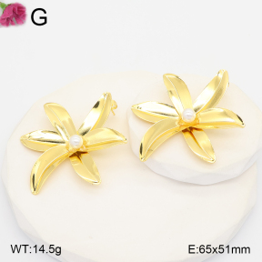 F2E301358vbll-J165  Fashion Earrings