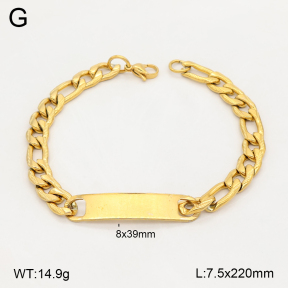2B2006041avja-452  Stainless Steel Bracelet