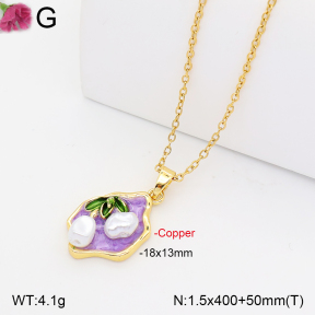 F2N300564vbll-J165  Fashion Copper Necklace