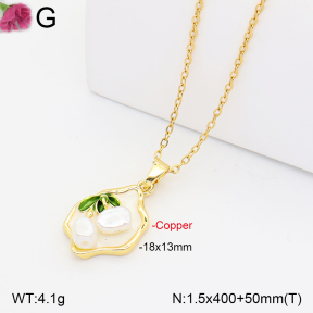 F2N300565vbll-J165  Fashion Copper Necklace