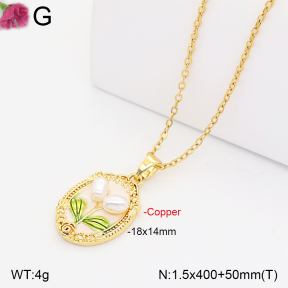 F2N300590vbll-J165  Fashion Copper Necklace