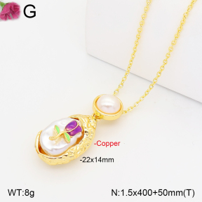 F2N300593bbml-J165  Fashion Copper Necklace