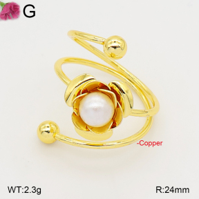 F2R300592aakl-J165  Fashion Copper Ring