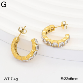 2E4005388ahjb-649  Stainless Steel Earrings
