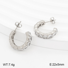 2E4005389vhha-649  Stainless Steel Earrings