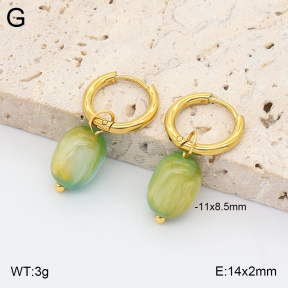 2E4005415avja-706  Stainless Steel Earrings
