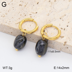 2E4005416avja-706  Stainless Steel Earrings