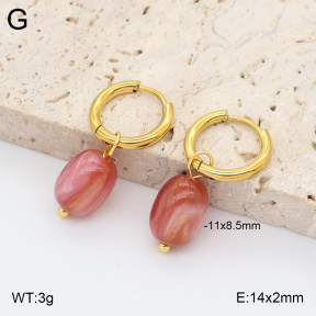 2E4005418avja-706  Stainless Steel Earrings