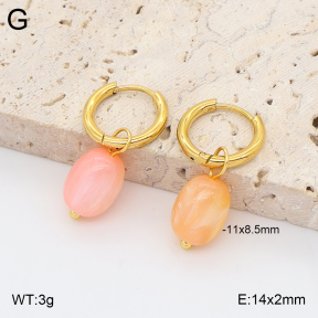 2E4005419avja-706  Stainless Steel Earrings