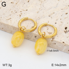 2E4005420avja-706  Stainless Steel Earrings