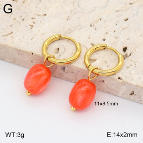 2E4005421avja-706  Stainless Steel Earrings