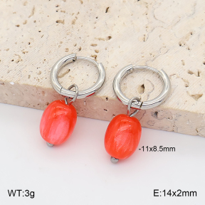 2E4005424vail-706  Stainless Steel Earrings
