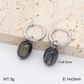 2E4005426vail-706  Stainless Steel Earrings